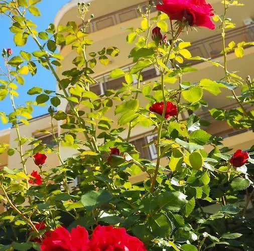 Joya Park * غولدن ساندز