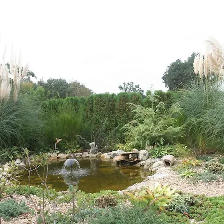 Joya Park * Złote Piaski