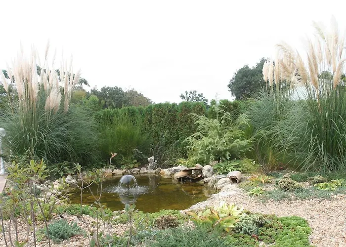 Joya Park * גולדן סנדס